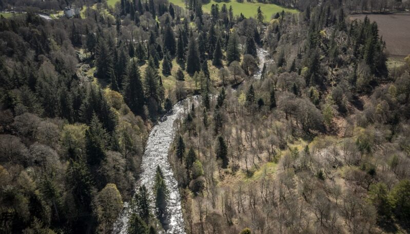 Wild South Esk Trail - Cortachy