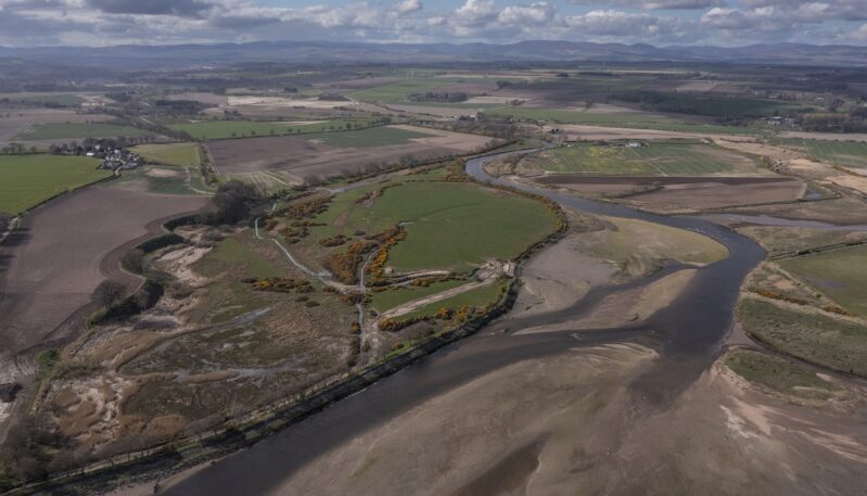 Wild South Esk Trail - The Lurgies, Montrose