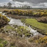 Wild South Esk Trail - The Lurgies, Montrose