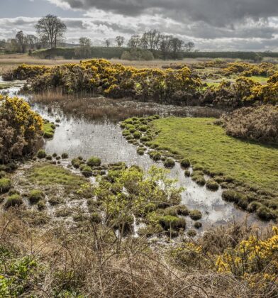 Wild South Esk Trail - The Lurgies, Montrose