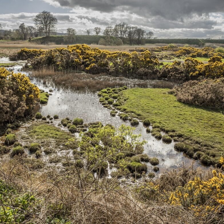 Wild South Esk Trail - The Lurgies, Montrose