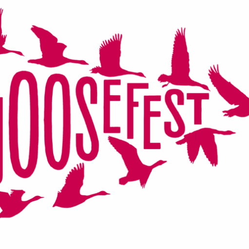 A graphic logo for "GOOSEFEST" against a black background. The letters are a dark pink with a white outline. Silhouettes of pink geese in flight are scattered around and woven into the letters.