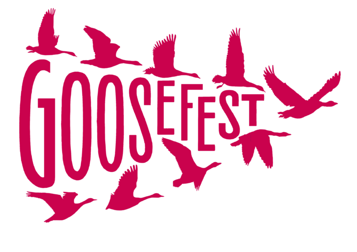 A graphic logo for "GOOSEFEST" against a black background. The letters are a dark pink with a white outline. Silhouettes of pink geese in flight are scattered around and woven into the letters.